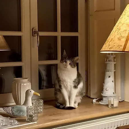 Maison Spacieuse Avec Du Charme - Proche De La Villa